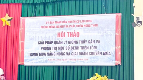 Hội thảo tại Cù Lao Dung, Sóc Trăng: Quản lý con giống và phòng bệnh trên tôm