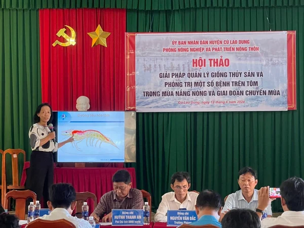 Hội thảo thủy sản tại Cù Lao Dung, Sóc Trăng: Quản lý con giống và phòng bệnh trên tôm