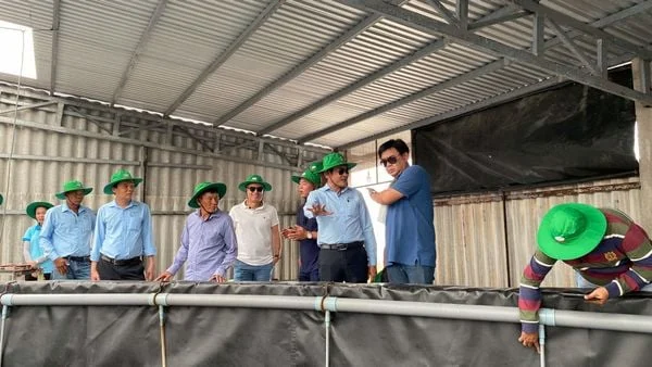 Đoàn kỹ sư quốc tế tham quan mô hình nuôi tôm công nghệ cao của Âu Mỹ AEC tại Bến Tre