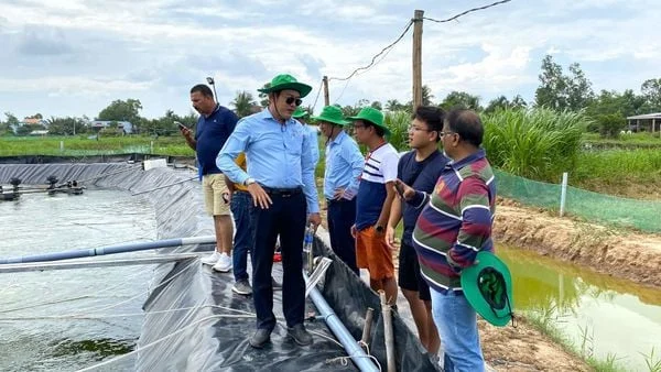 Đoàn kỹ sư quốc tế tham quan mô hình nuôi tôm công nghệ cao của Âu Mỹ AEC tại Bến Tre